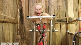 Hucow Ariel Anderssen  Milked