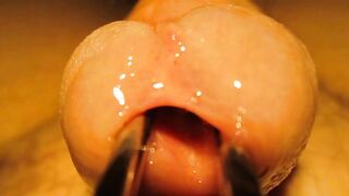 Urethral sounding and stretching with cumshot